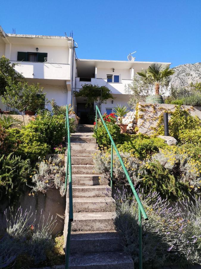 Apartman Mare 德尔韦尼克 外观 照片